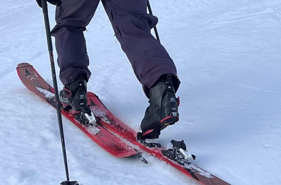 Dalbello lupo top ski boots